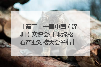 第二十一届中国（深圳）文博会·十堰绿松石产业对接大会举行