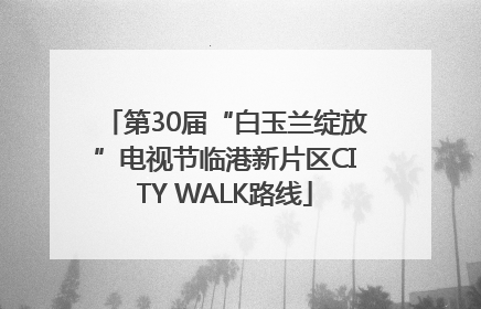 第30届“白玉兰绽放”电视节临港新片区CITY WALK路线