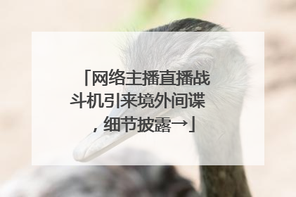 网络主播直播战斗机引来境外间谍，细节披露→