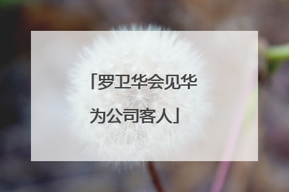 罗卫华会见华为公司客人