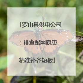 罗山县供电公司：排查配网隐患 精准补齐短板