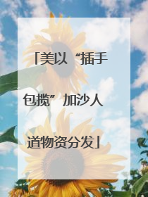 美以“插手包揽”加沙人道物资分发