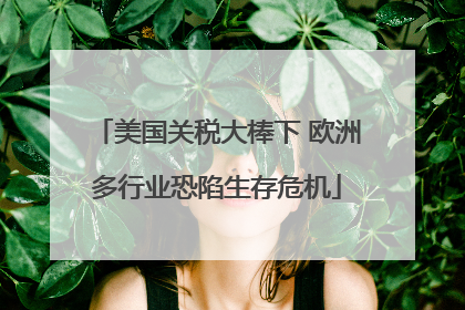 美国关税大棒下 欧洲多行业恐陷生存危机