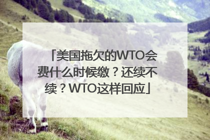 美国拖欠的WTO会费什么时候缴？还续不续？WTO这样回应