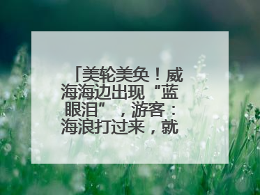 美轮美奂！威海海边出现“蓝眼泪”，游客：海浪打过来，就像星河一样