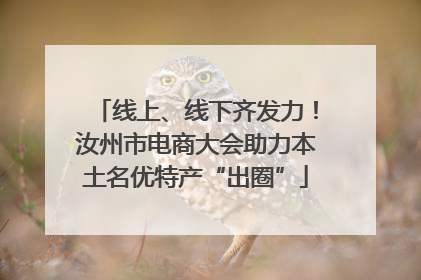 线上、线下齐发力！汝州市电商大会助力本土名优特产“出圈”