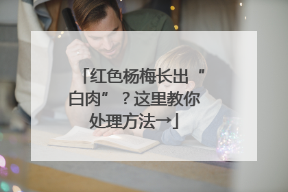 红色杨梅长出“白肉”？这里教你处理方法→