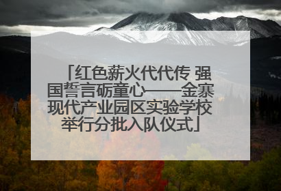 红色薪火代代传 强国誓言砺童心——金寨现代产业园区实验学校举行分批入队仪式