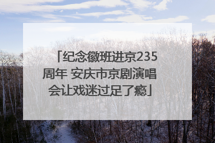 纪念徽班进京235周年 安庆市京剧演唱会让戏迷过足了瘾