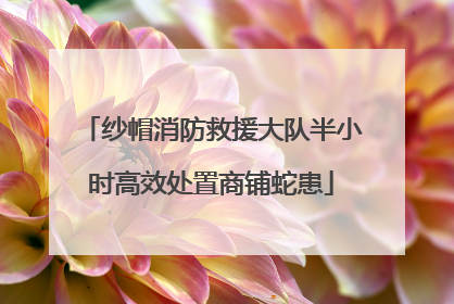 纱帽消防救援大队半小时高效处置商铺蛇患