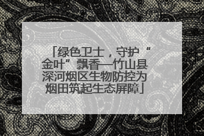 绿色卫士，守护“金叶”飘香—竹山县深河烟区生物防控为烟田筑起生态屏障