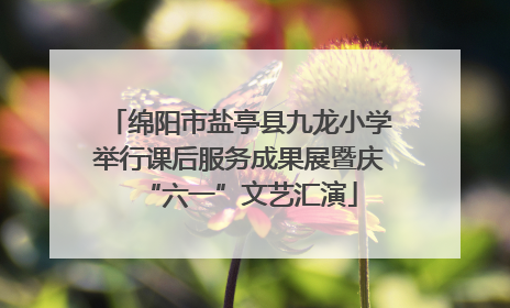 绵阳市盐亭县九龙小学举行课后服务成果展暨庆“六一”文艺汇演