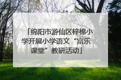 绵阳市游仙区梓棉小学开展小学语文“富乐课堂”教研活动