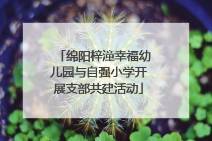 绵阳梓潼幸福幼儿园与自强小学开展支部共建活动