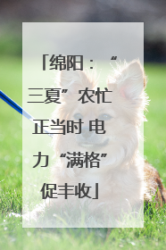 绵阳：“三夏”农忙正当时 电力“满格”促丰收