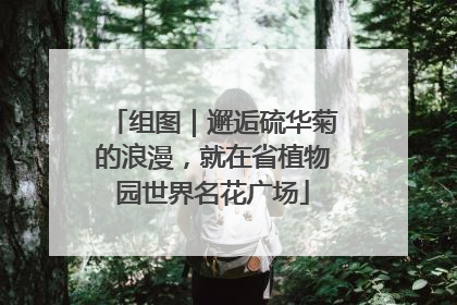 组图｜邂逅硫华菊的浪漫，就在省植物园世界名花广场