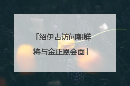 绍伊古访问朝鲜 将与金正恩会面