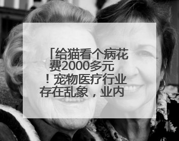 给猫看个病花费2000多元！宠物医疗行业存在乱象，业内人士呼吁→