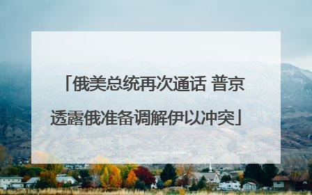 俄美总统再次通话 普京透露俄准备调解伊以冲突