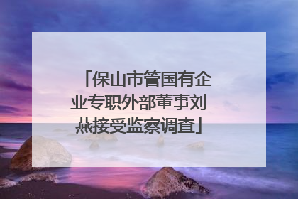 保山市管国有企业专职外部董事刘燕接受监察调查