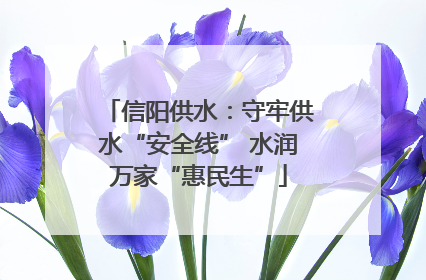 信阳供水：守牢供水“安全线” 水润万家“惠民生”
