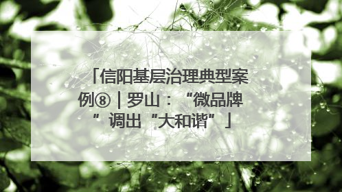 信阳基层治理典型案例⑧｜罗山：“微品牌”调出“大和谐”