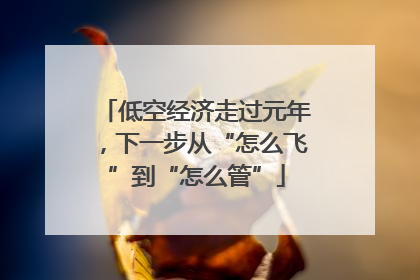 低空经济走过元年，下一步从“怎么飞”到“怎么管”