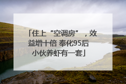 住上“空调房”，效益增十倍 奉化95后小伙养虾有一套