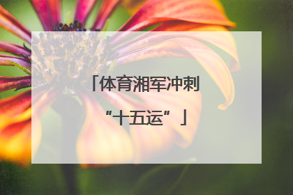 体育湘军冲刺“十五运”
