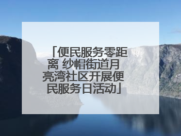 便民服务零距离 纱帽街道月亮湾社区开展便民服务日活动