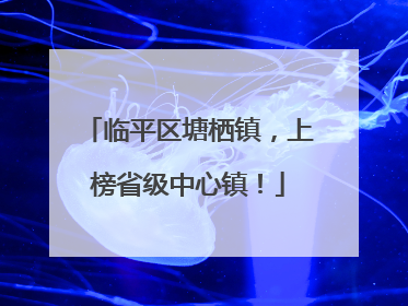 临平区塘栖镇，上榜省级中心镇！