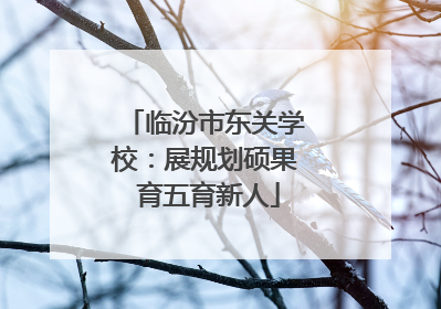 临汾市东关学校：展规划硕果 育五育新人