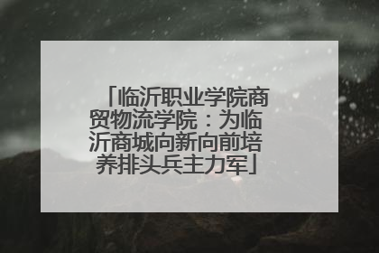 临沂职业学院商贸物流学院：为临沂商城向新向前培养排头兵主力军