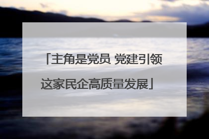 主角是党员 党建引领这家民企高质量发展