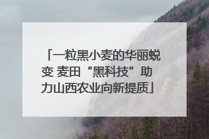一粒黑小麦的华丽蜕变 麦田“黑科技”助力山西农业向新提质