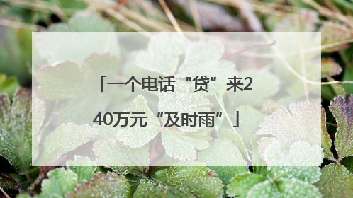 一个电话“贷”来240万元“及时雨”