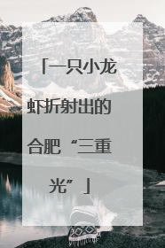 一只小龙虾折射出的合肥“三重光”