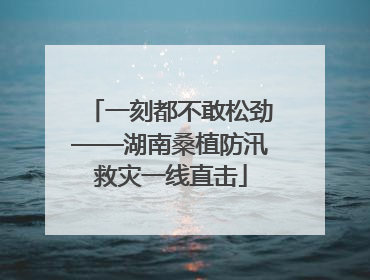 一刻都不敢松劲——湖南桑植防汛救灾一线直击