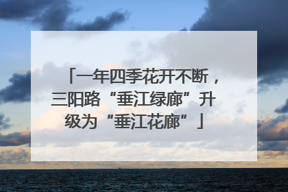 一年四季花开不断，三阳路“垂江绿廊”升级为“垂江花廊”