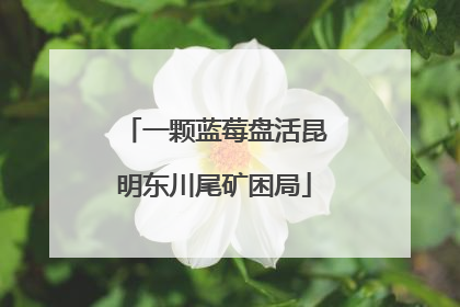 一颗蓝莓盘活昆明东川尾矿困局