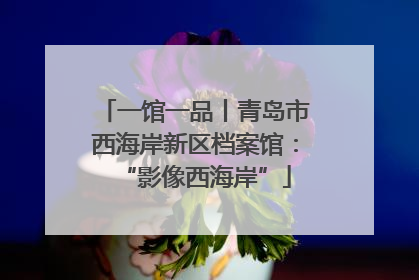 一馆一品丨青岛市西海岸新区档案馆：“影像西海岸”