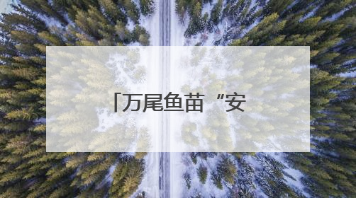 万尾鱼苗“安家”东海 浙江海洋增殖放流活动在台州启幕