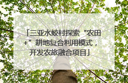 三亚水蛟村探索“农田+”耕地复合利用模式，开发农旅融合项目