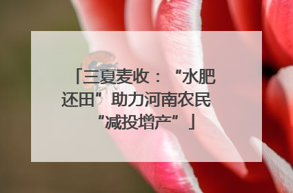 三夏麦收：“水肥还田”助力河南农民“减投增产”