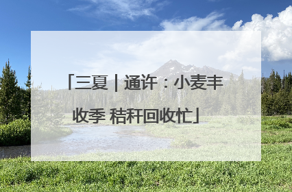 三夏｜通许：小麦丰收季 秸秆回收忙