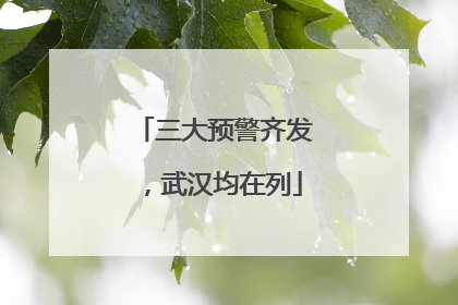 三大预警齐发，武汉均在列