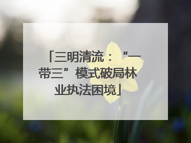 三明清流：“一带三”模式破局林业执法困境