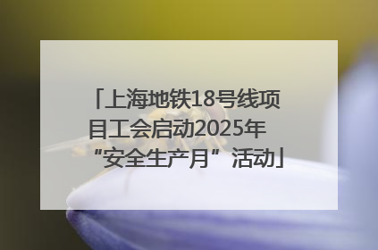 上海地铁18号线项目工会启动2025年“安全生产月”活动