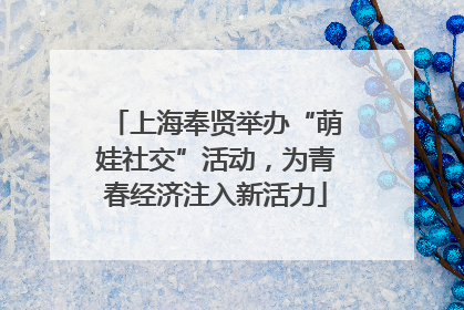 上海奉贤举办“萌娃社交”活动，为青春经济注入新活力