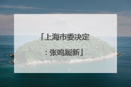 上海市委决定：张鸣履新